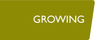 segment-growing